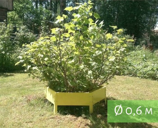 Клумба "Сота" 300 в Екатеринбурге